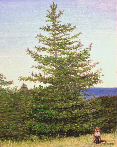 In the Pines